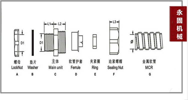 DPJ端式包塑軟管接頭產(chǎn)品樣圖